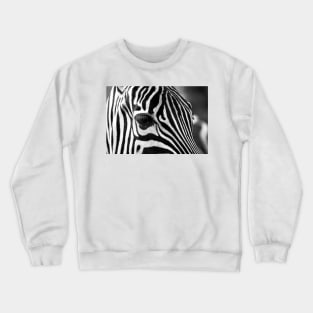 Zebra 08 Crewneck Sweatshirt